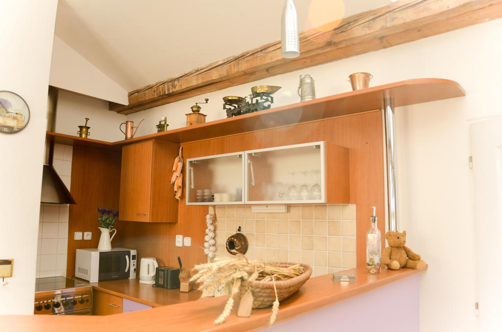 プラハLanoblessaアパートメント 部屋 写真